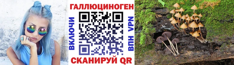 купить сайты Юрюзань Псилоцибиновые грибы MAGIC MUSHROOMS